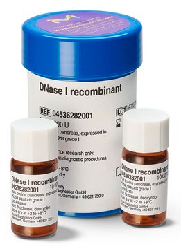 DNase I recombinant grade I, from bovine pancreas, expressed in Pichia pastoris