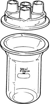 Pyrex&#174; resin reaction kettles capacity 2,000&#160;mL