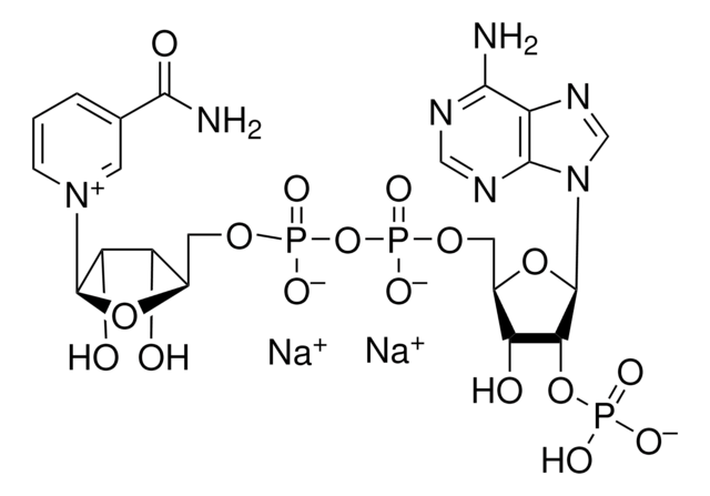 NADP, Disodium Salt A coenzyme that is widely distributed in living matter. Participates in oxidation-reduction reactions.