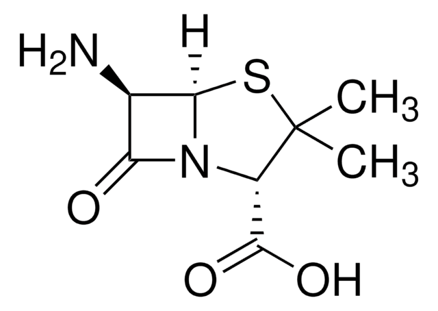 (+)-6-Aminopenicillanic acid analytical standard