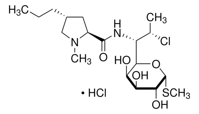 Clindamycin hydrochloride lincosamide antibiotic