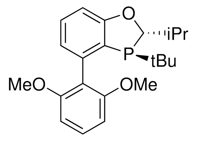 (2S,3S)-iPr-BIDIME &#8805;95%