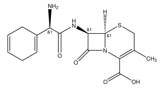 Cefradine European Pharmacopoeia (EP) Reference Standard