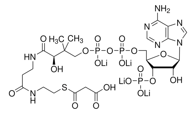 Malonyl coenzyme&#160;A tetralithium salt &#8805;90% (HPLC)