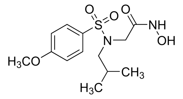 NNGH &#8805;98% (HPLC)