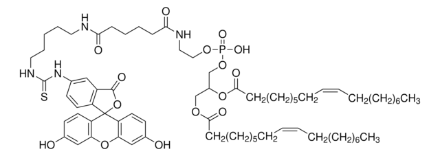 FSL-Fluorescein