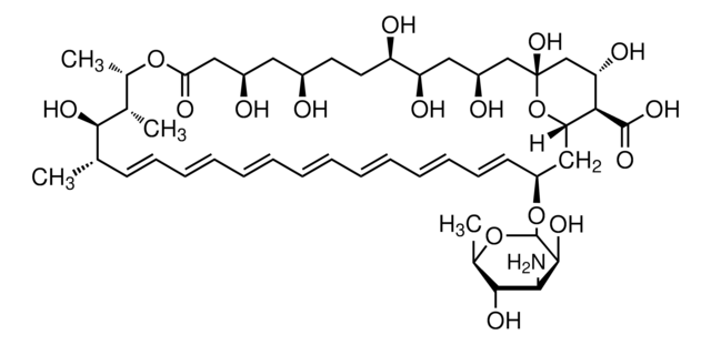 Amphotericin B from Streptomyces sp. ~80% (HPLC), powder