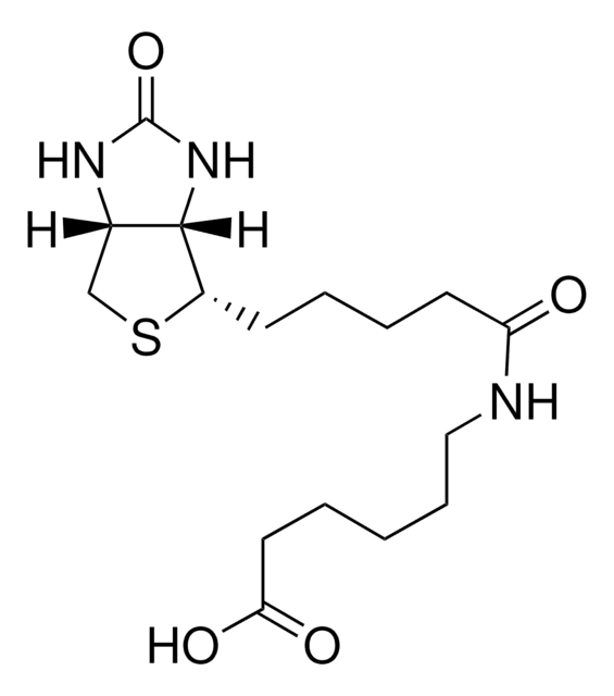 N-(+)-Biotinyl-6-aminohexanoic acid &#8805;97.0% (HPLC)