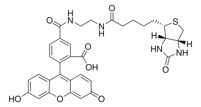 Biotin (5-fluorescein) conjugate BioReagent, suitable for fluorescence, &#8805;90% (HPCE)