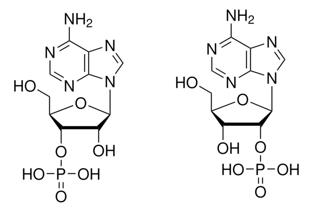 Adenosine 2&#8242;(3&#8242;)-monophosphate mixed isomers