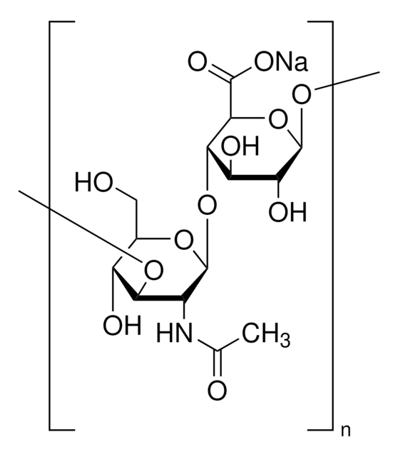 Hyaluronic acid sodium salt from Streptococcus equi bacterial glycosaminoglycan polysaccharide