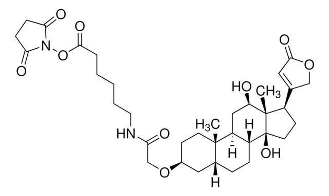 Digoxigenin NHS-ester &#8805;80% (HPLC)