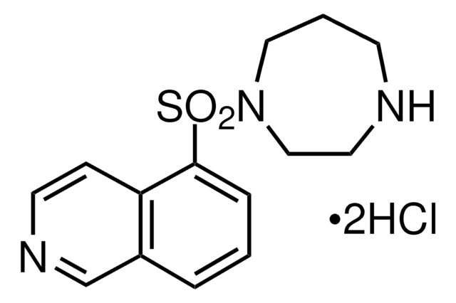 HA-1077 dihydrochloride solid, &#8805;98% (HPLC)