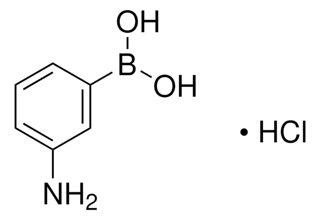 3-Aminophenylboronic acid hydrochloride 98%