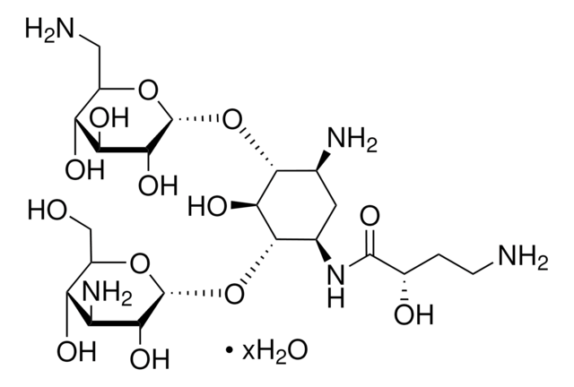 Amikacin hydrate aminoglycoside antibiotic