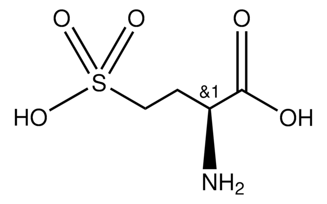 L-Homocysteic acid &#8805;95%