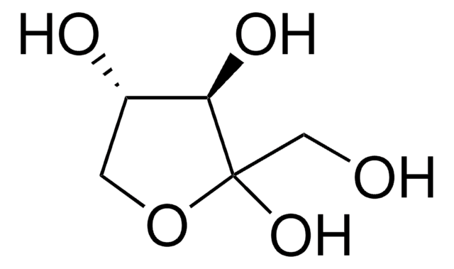 D-Xylulose &#8805;95% (HPLC), syrup