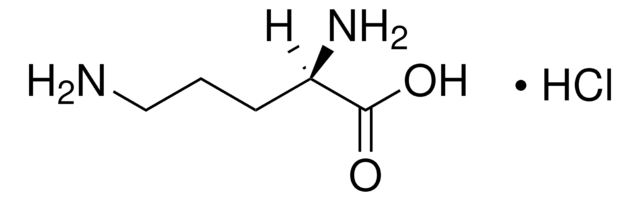 D-Ornithine monohydrochloride ~98%