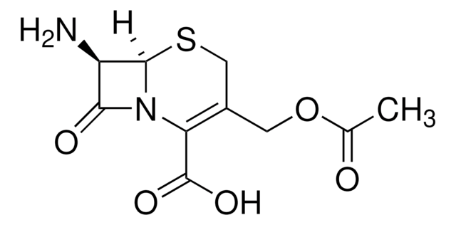 7-Aminocephalosporanic acid 98%