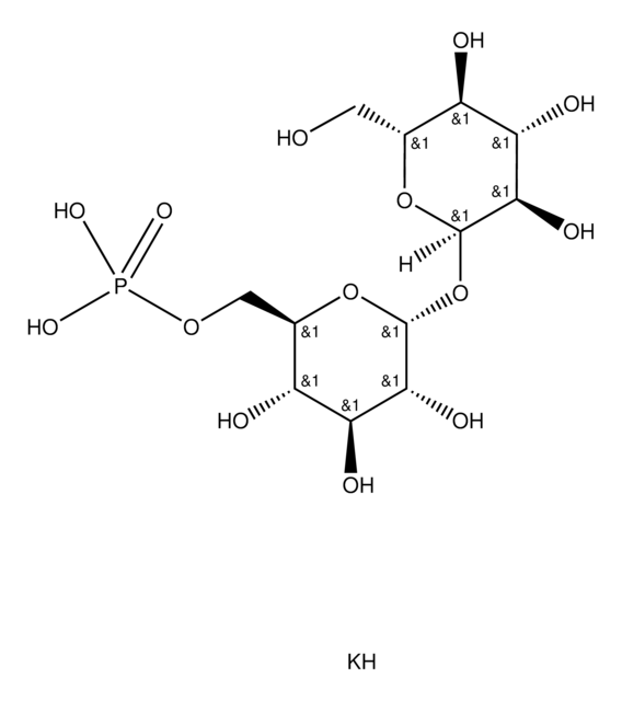 Trehalose 6-phosphate dipotassium salt ~95% (TLC)