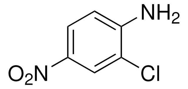 2-Chloro-4-nitroaniline 99%