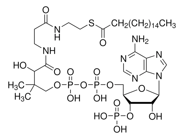 n-Heptadecanoyl coenzyme A lithium salt &#8805;90%