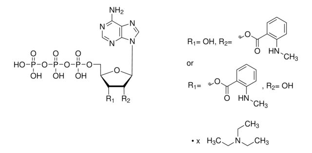 Mant-ATP triethylammonium salt solution &#8805;95.0% (HPLC)