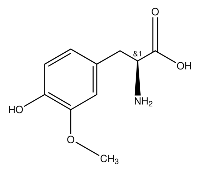 3-Methoxy-L-tyrosine monohydrate powder