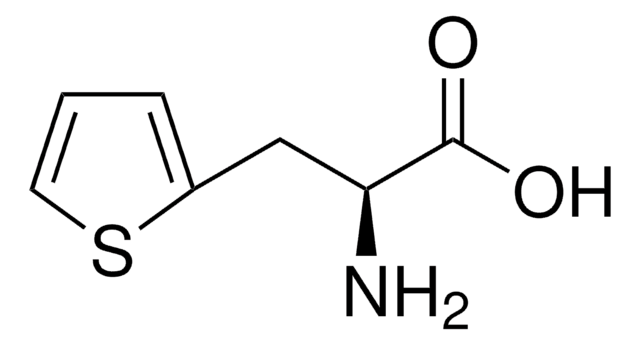 3-(2-Thienyl)-L-alanine &#8805;98.0% (TLC)