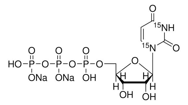 Uridine-15N2 5&#8242;-triphosphate disodium salt solution 100&#160;mM (in 5mM Tris HCl / H2O), &#8805;98 atom % 15N, &#8805;95% (CP)