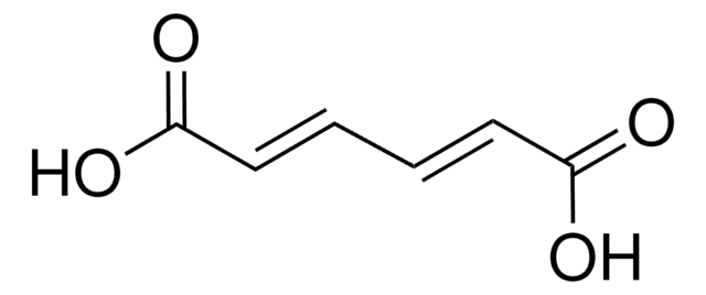 trans,trans-Muconic acid 98%