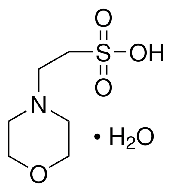 MES monohydrate BioXtra, &#8805;99.0% (T)