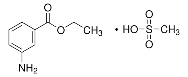 Ethyl 3-aminobenzoate methanesulfonate 98%