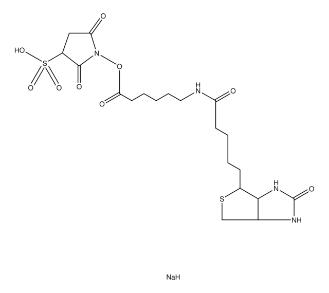 Biotinamidohexanoic acid 3-sulfo-N-hydroxysuccinimide ester sodium salt &#8805;90% (TLC), powder