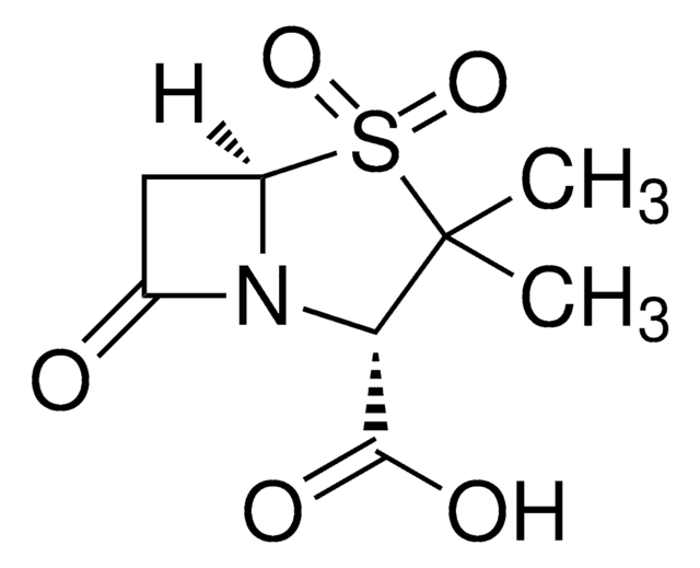 Sulbactam