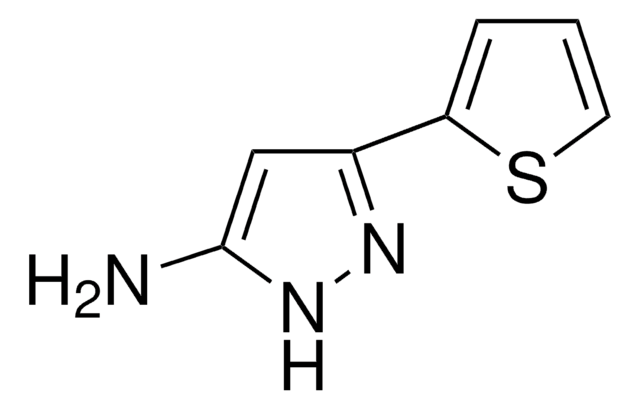 5-Amino-3-(2-thienyl)pyrazole 96%