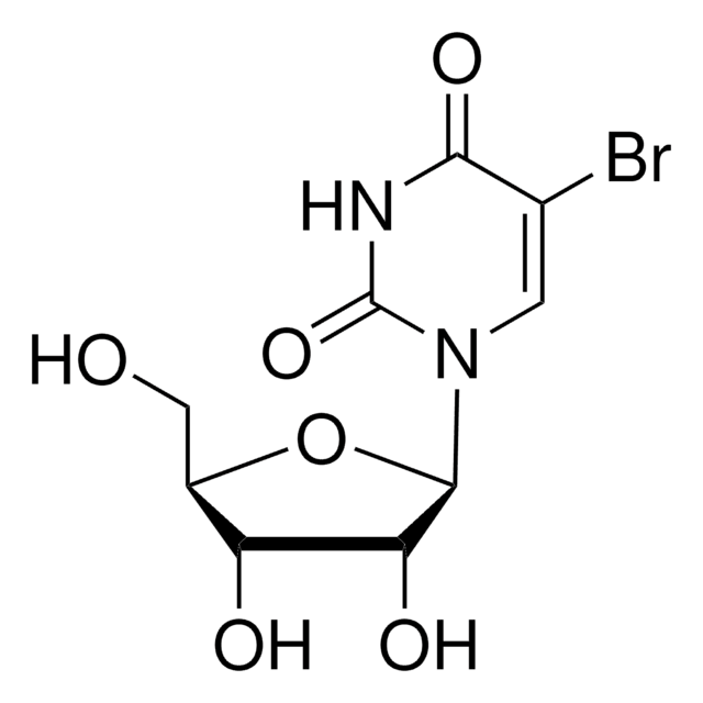 5-Bromouridine 98%