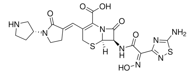 Ceftobiprole &#8805;95% (HPLC)