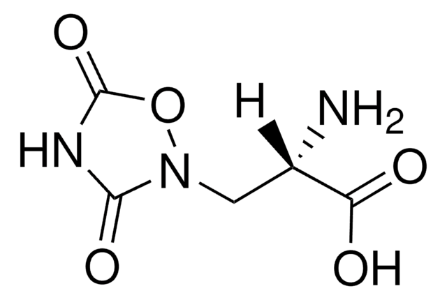 Quisqualic acid powder