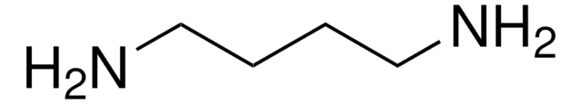 1,4-Diaminobutane 99%