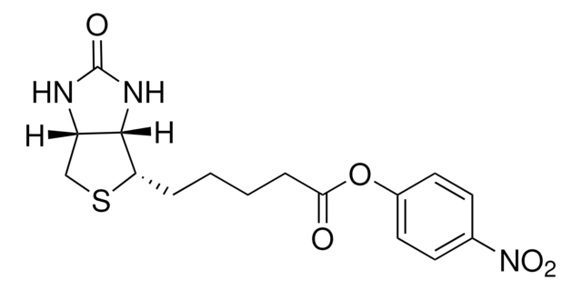 (+)-Biotin 4-nitrophenyl ester 98%