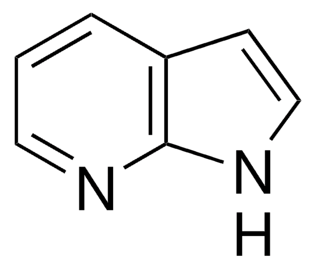 7-Azaindole 98%