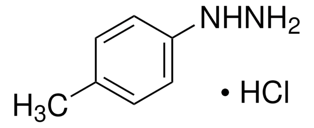 p-Tolylhydrazine hydrochloride 98%