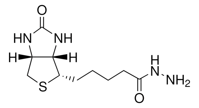 (+)-Biotin hydrazide &#8805;97% (TLC), powder