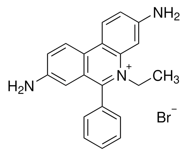 Ethidium bromide solution BioReagent, for molecular biology, 500&#160;&#956;g/mL in H2O