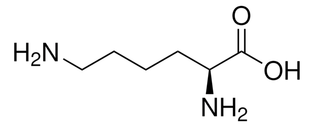 L-Lysine analytical standard