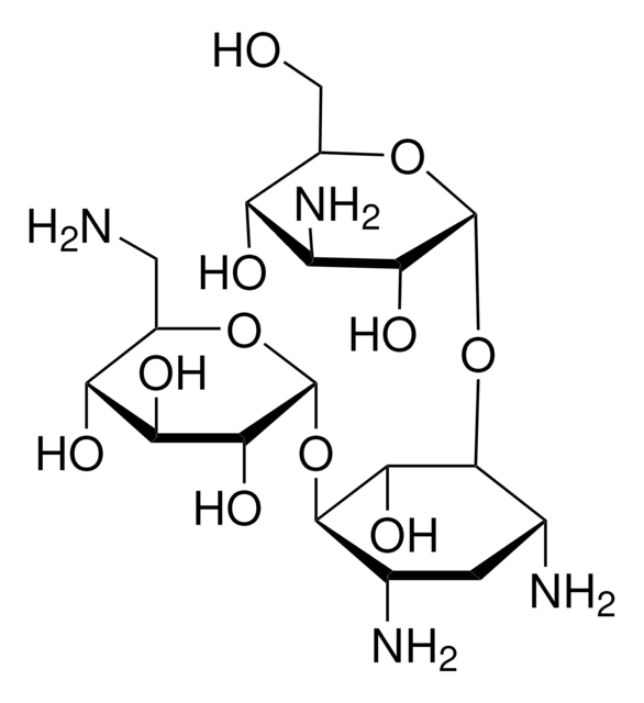 Kanamycin solution from Streptomyces kanamyceticus 10&#160;mg/mL in 0.9% NaCl, 0.1 &#956;m filtered, BioReagent, suitable for cell culture