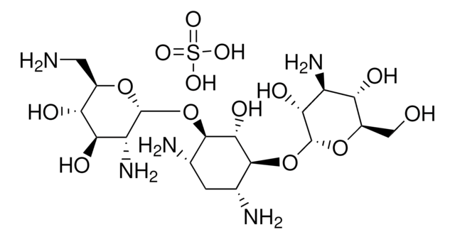 Kanamycin B sulfate salt aminoglycoside antibiotic