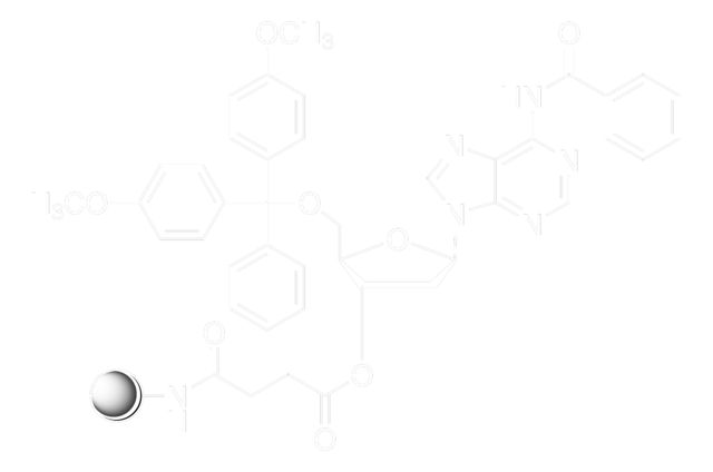 DMT-dA(bz)-CPG pore size 1000&#160;Å, 25-35&#956;mol/g