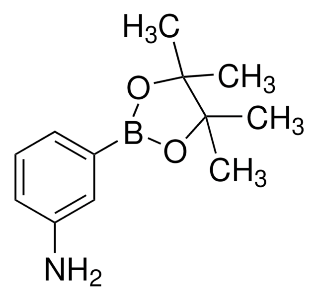 3-Aminophenylboronic acid pinacol ester 97%